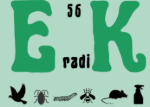 eradik56
